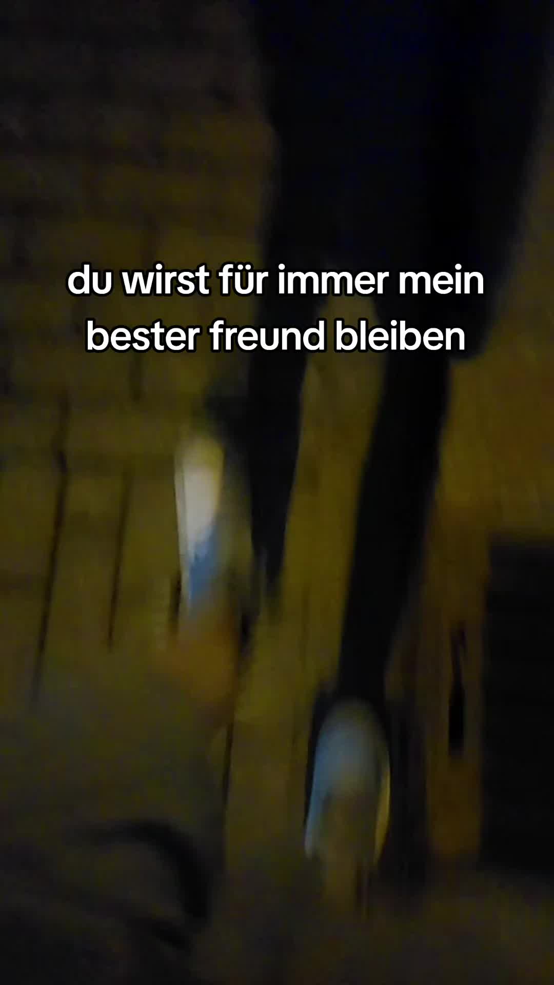@kevin🍋🇩🇪