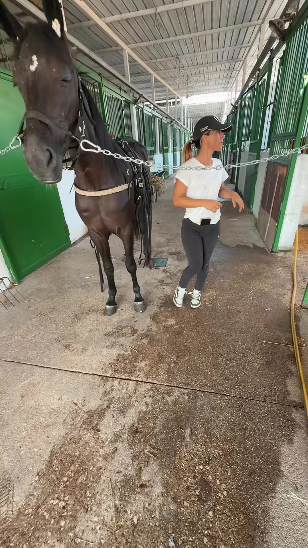 @MariaRosariaMaisto/AngelaHorse