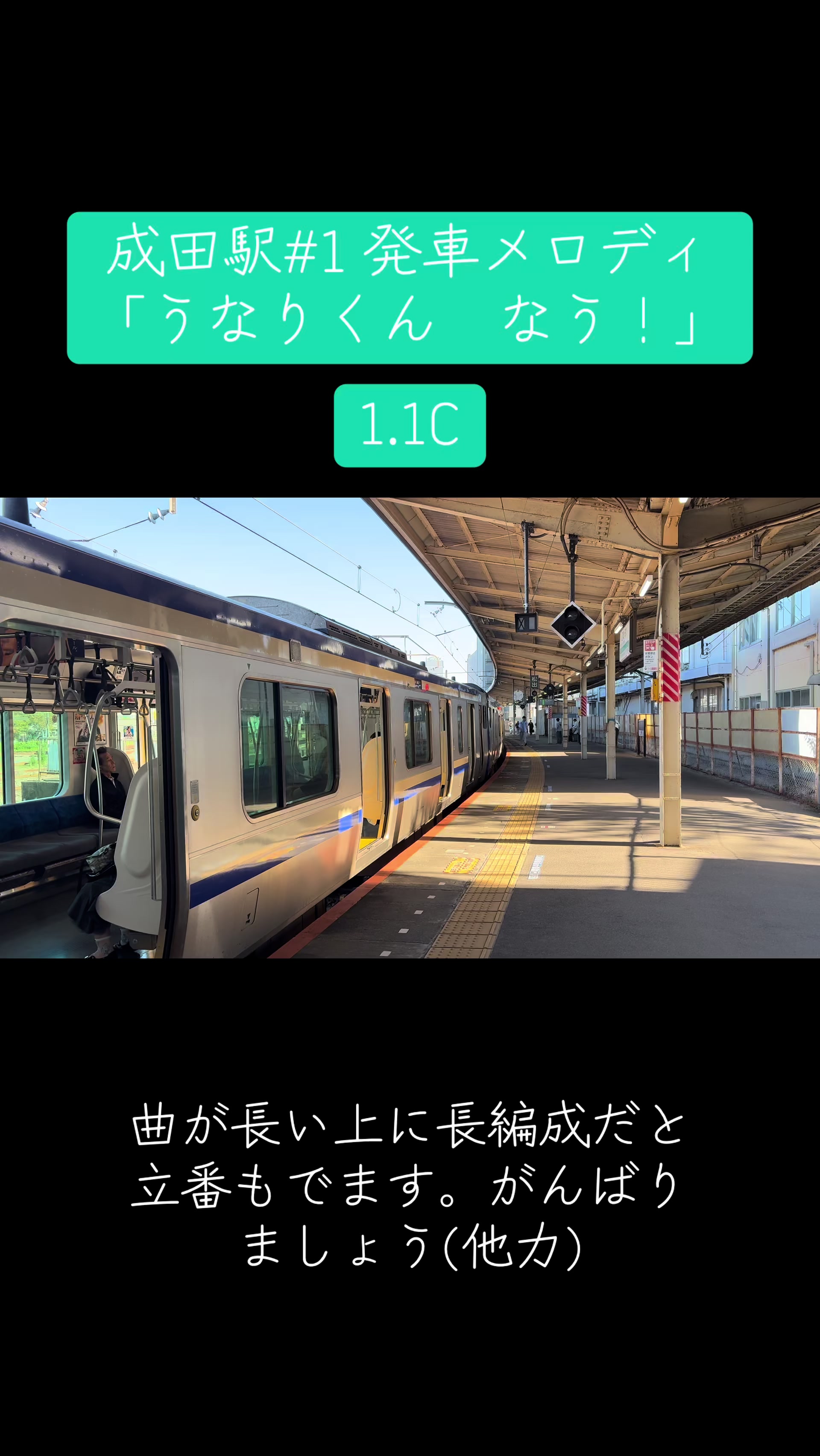 @tokiwa_