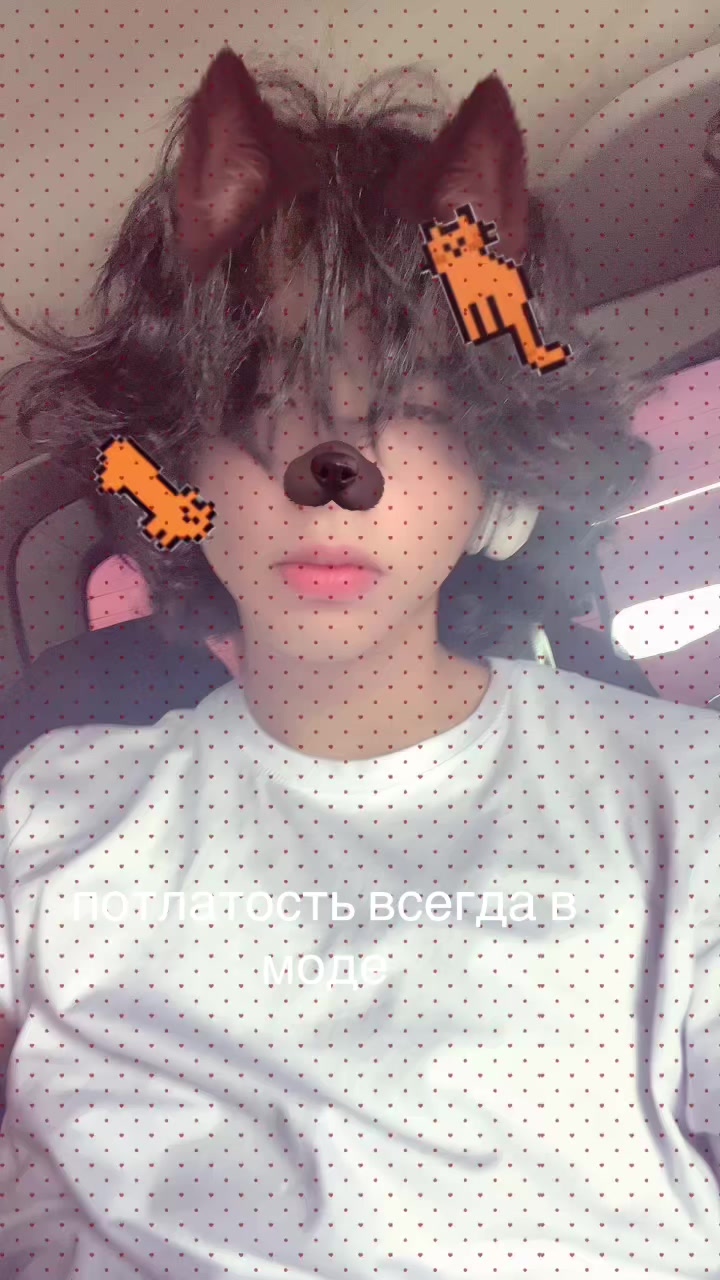 @тгк: Котики 🐈
