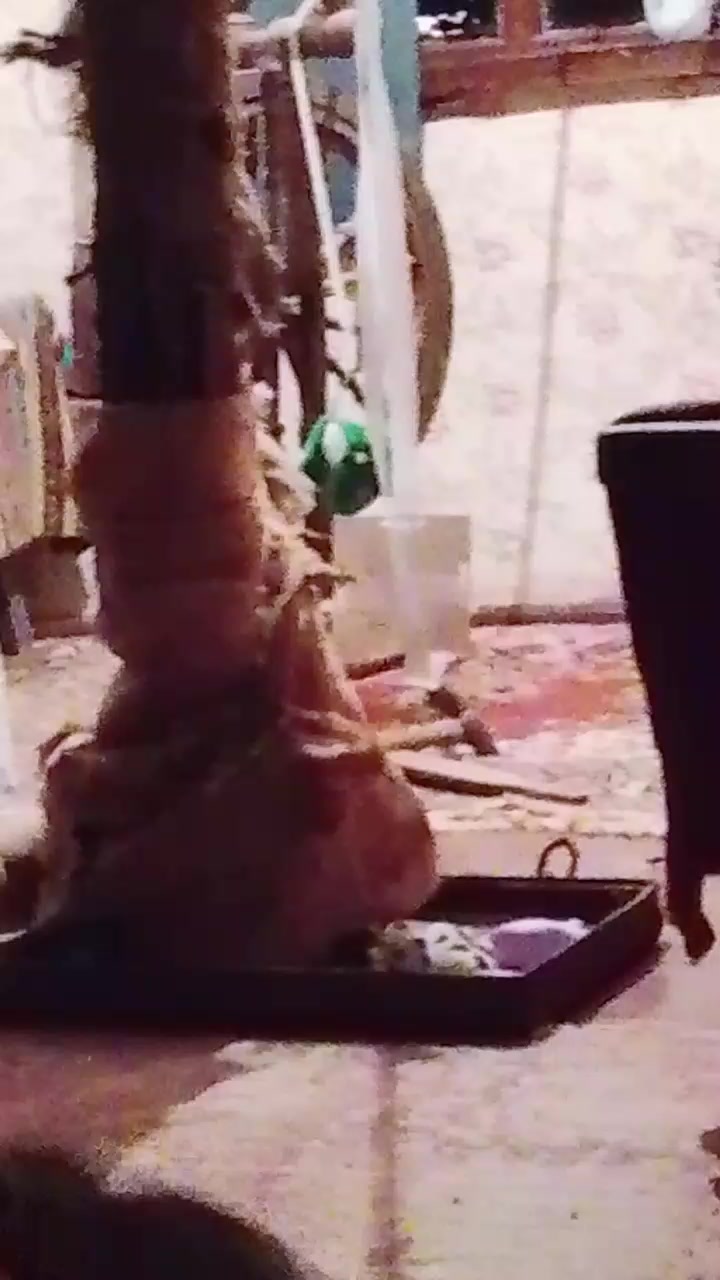 @Dgeki
