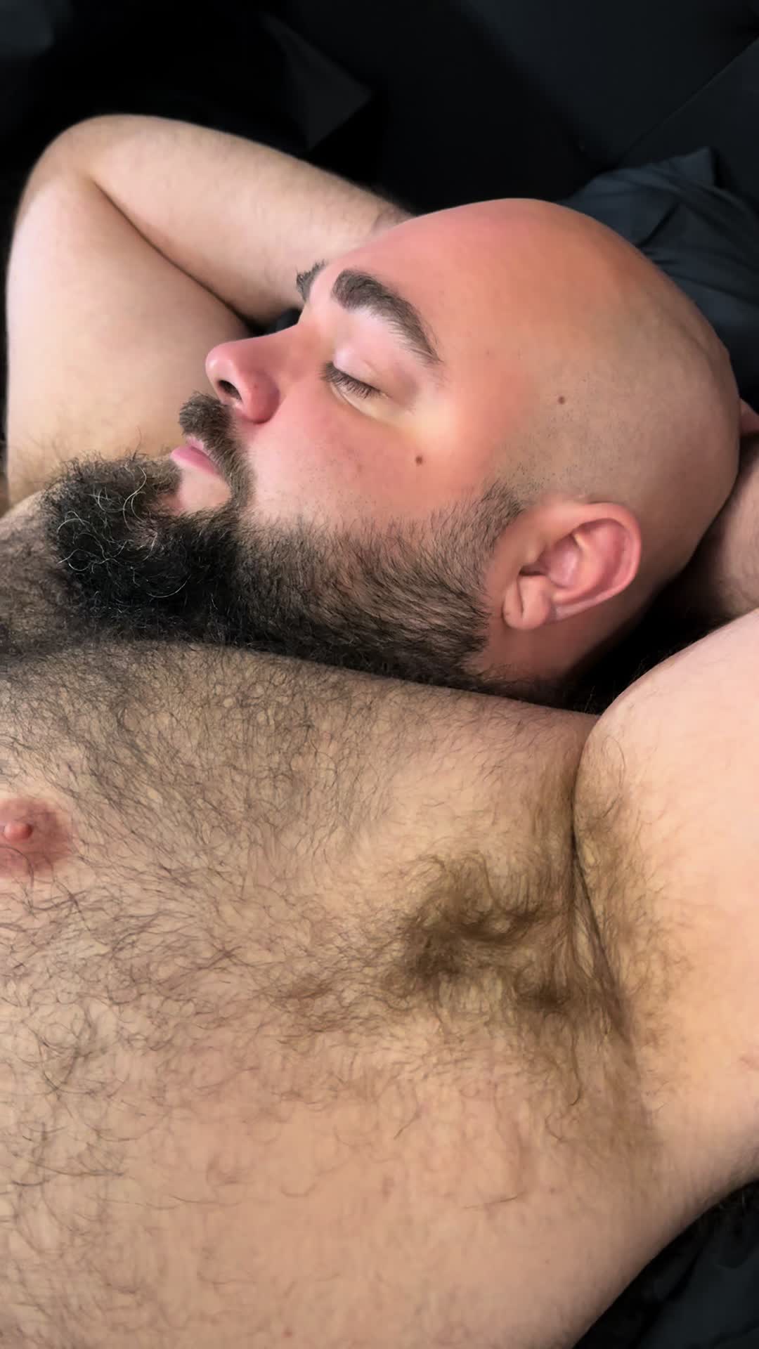 @Crate Bear