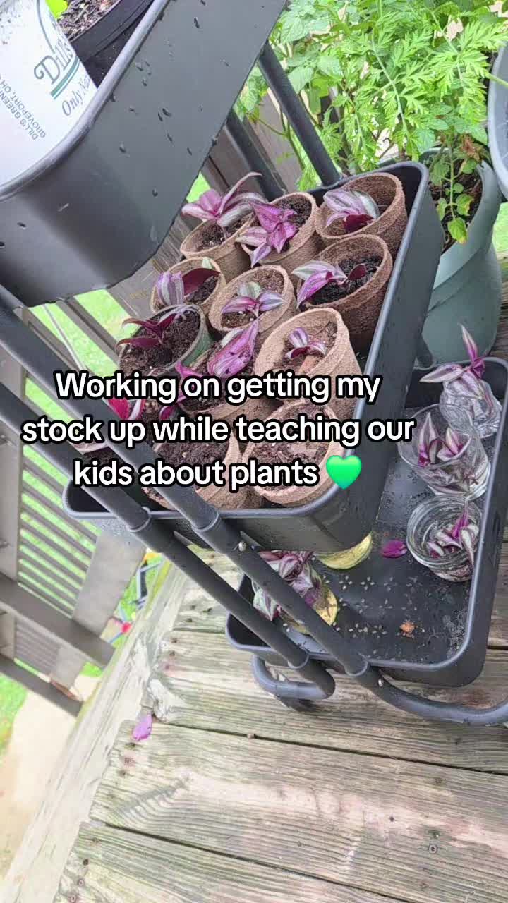 @Sarah
