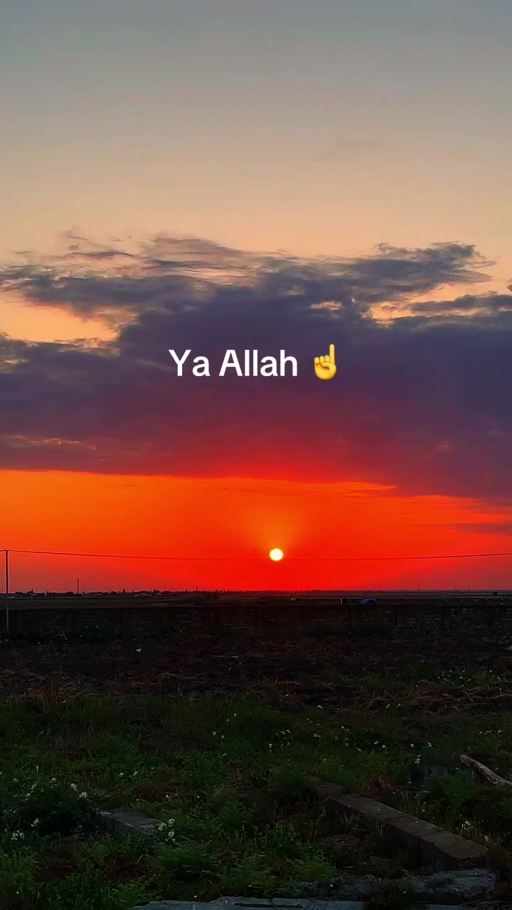 @aliyeff999🇦🇿🖤🤼&zwj;♂️