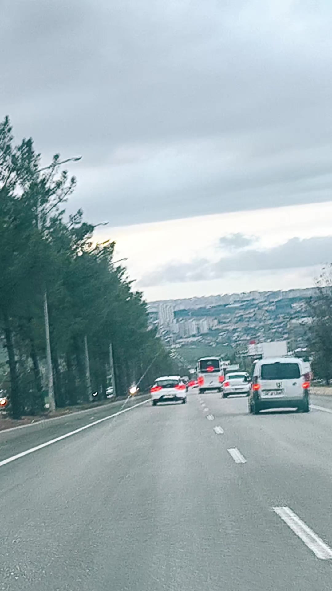 @🌹&ccedil;i&ccedil;eka &ccedil;olı 🌹