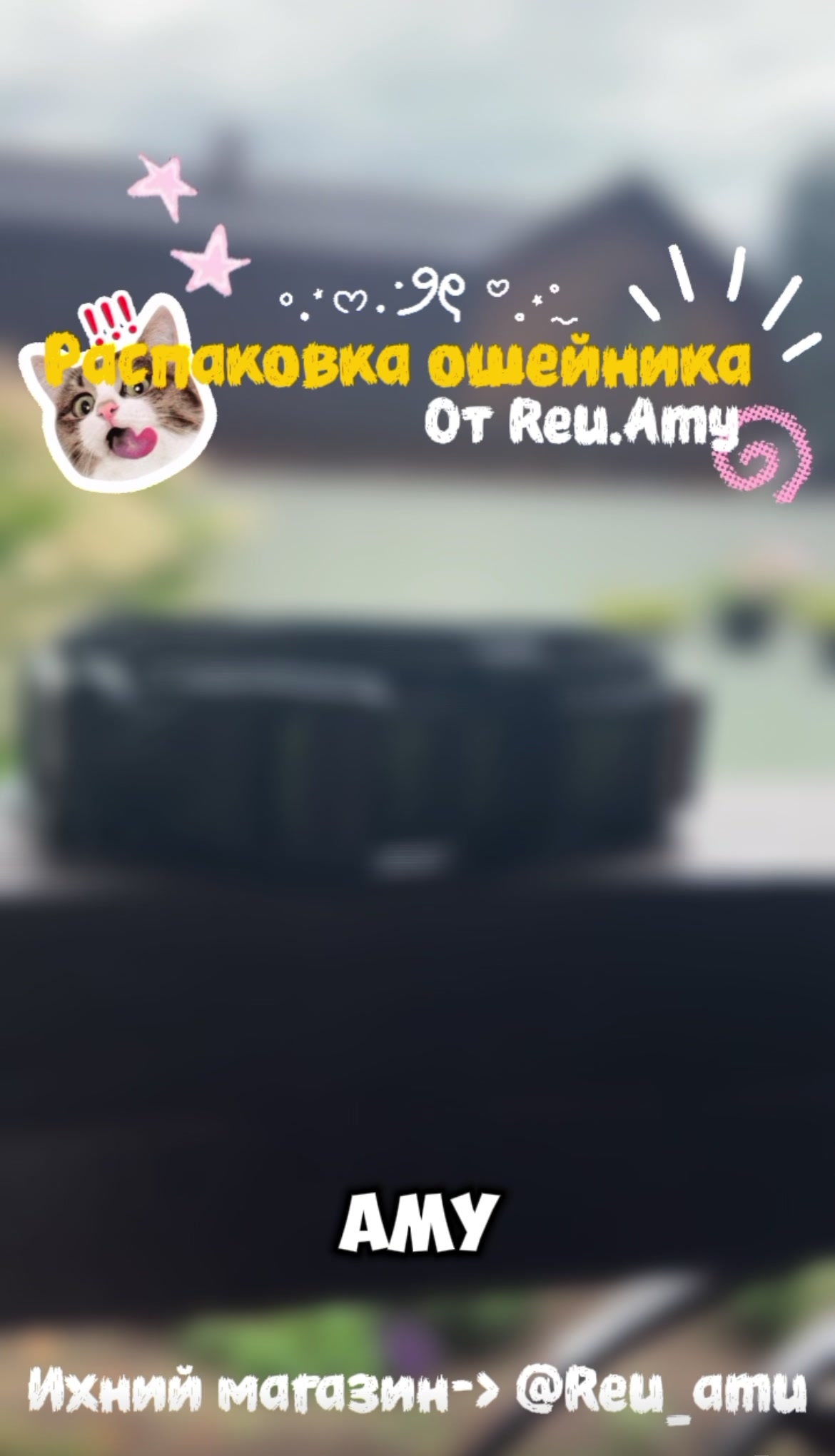 @ТГК: рыжий бордер🔥