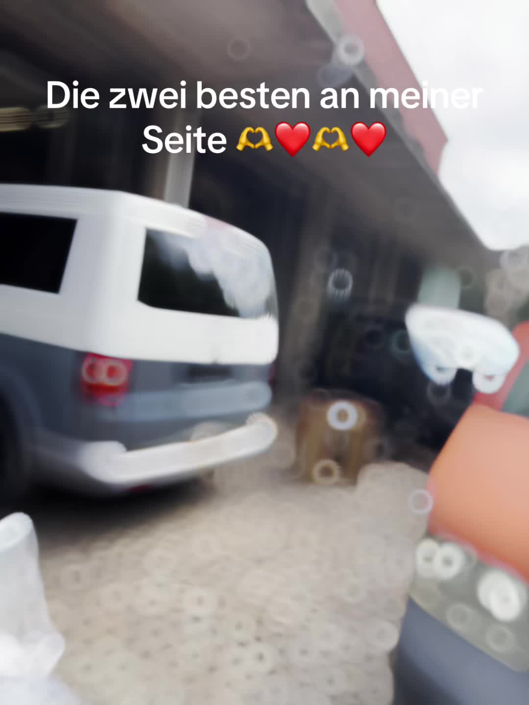 @Semi‘s Pilz 🍄mafiafuck🏴☠️