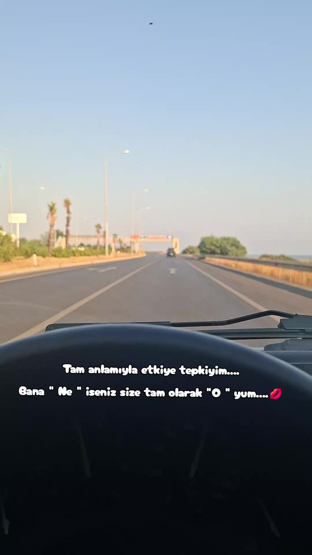 @Yasemin Uyanık
