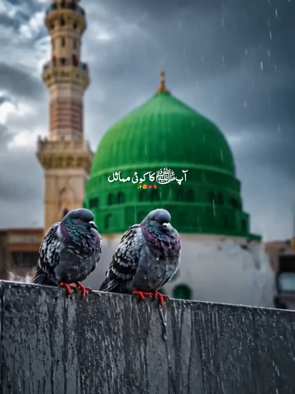 @💘💔زخمی دل💔💘