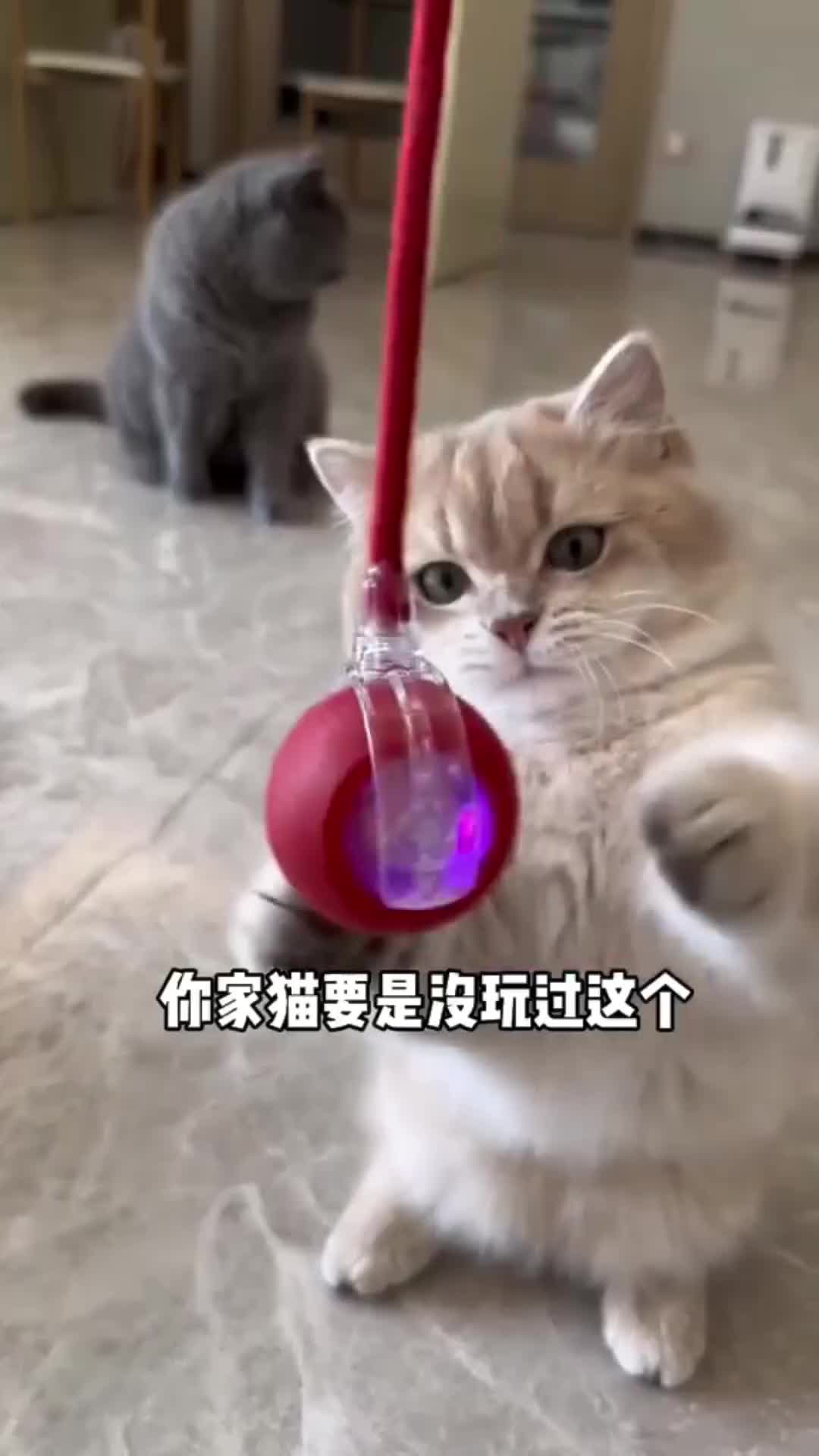 @Minnie2024