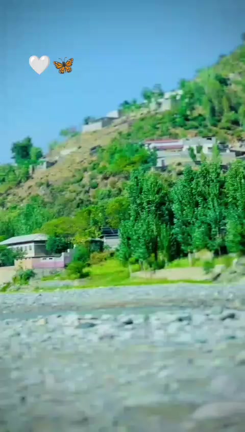 @🦅اخون خیل قابیلے کا ریحان 🦅