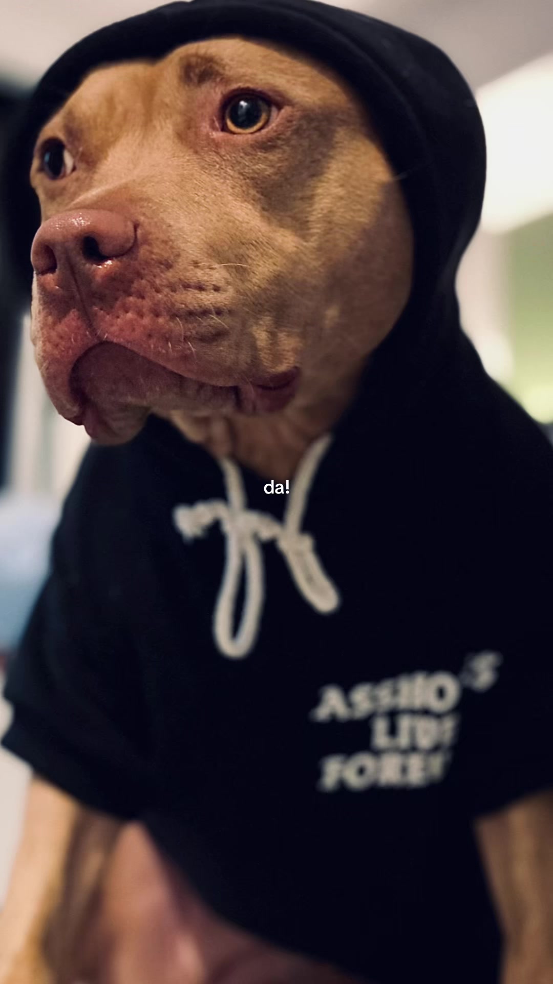 @K R Y S T I N A