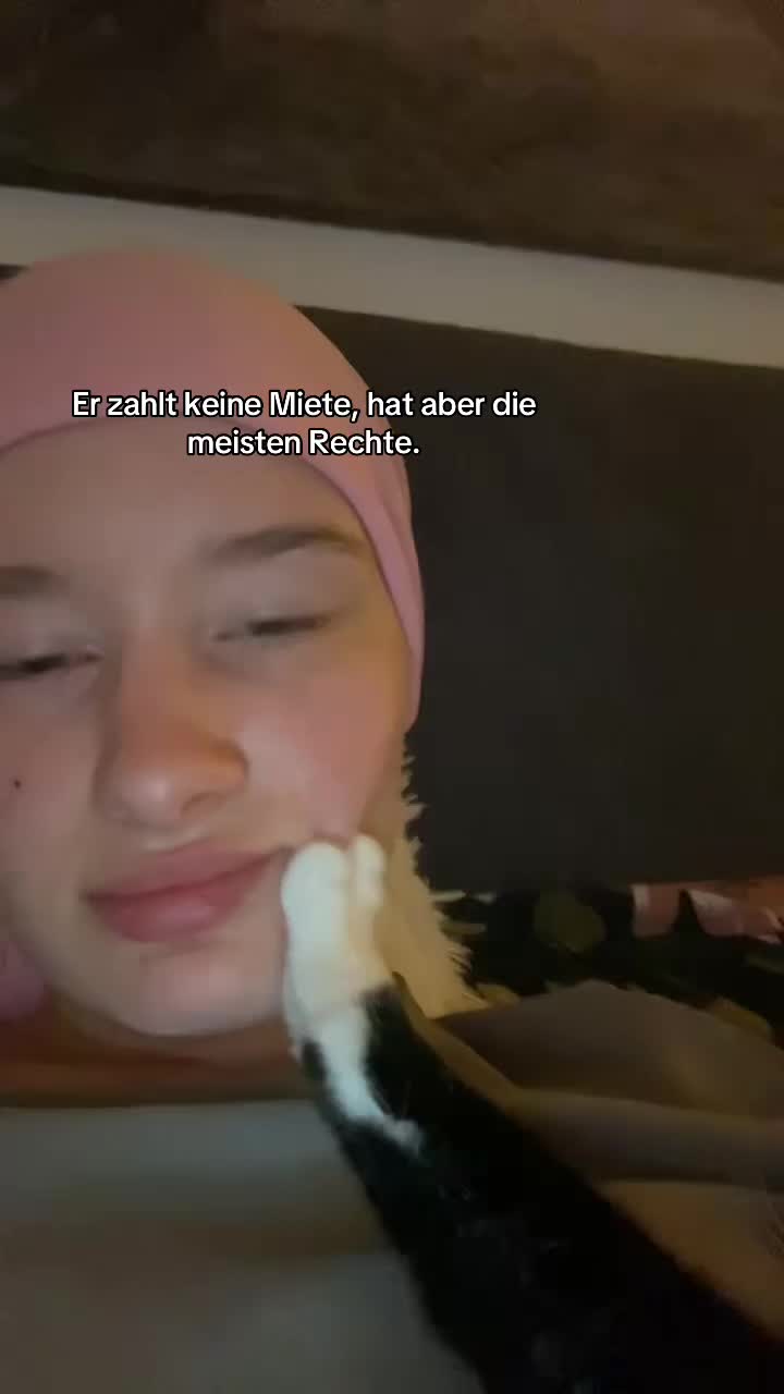 @celinn94
