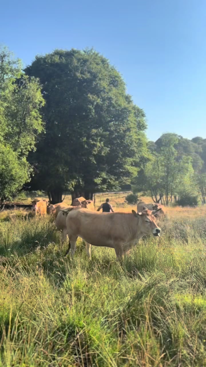 @𝐿𝑒𝓃𝒶👩🏼🌾