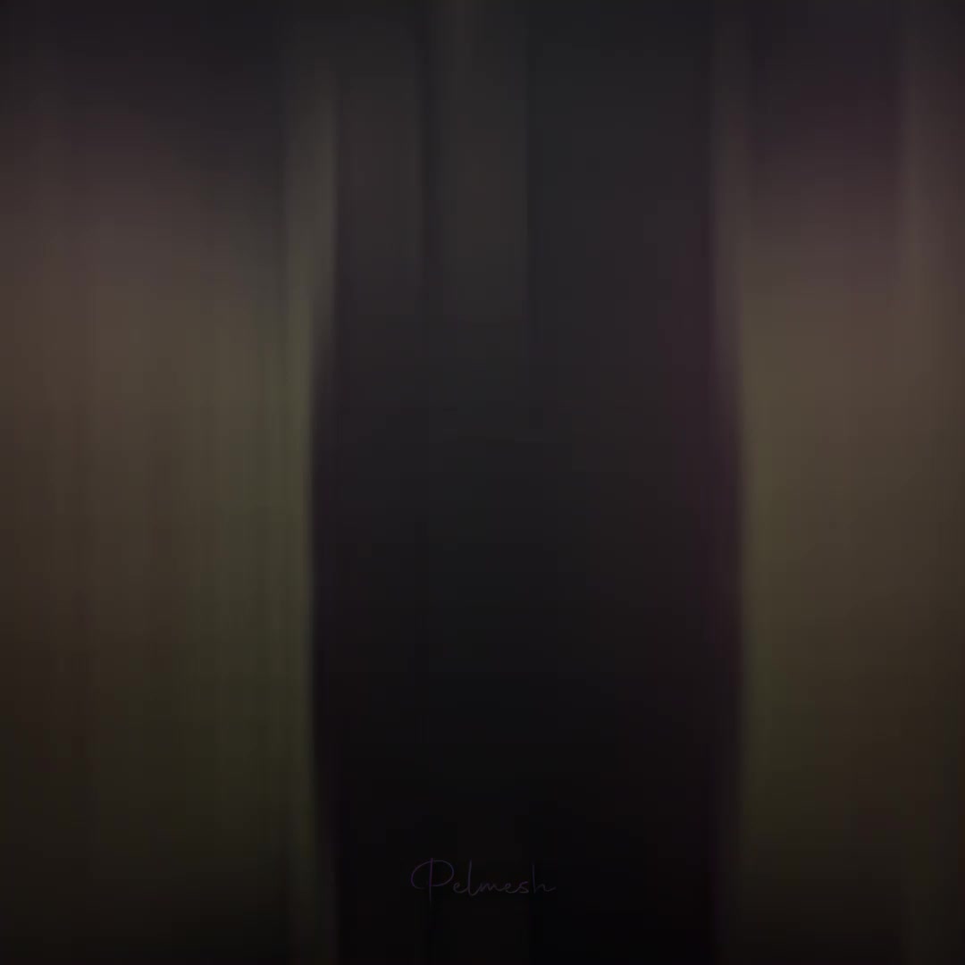 @Pelmeshki