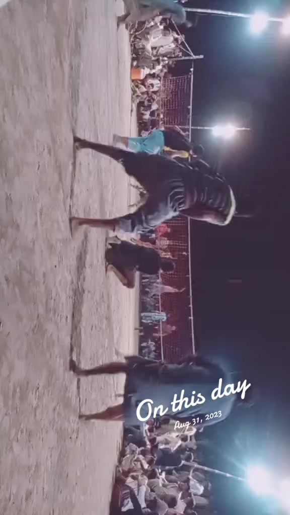 @آصف ندیم ٹوانہ،👑♥️🥀
