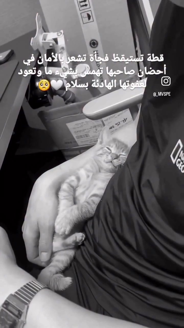 @كردية
