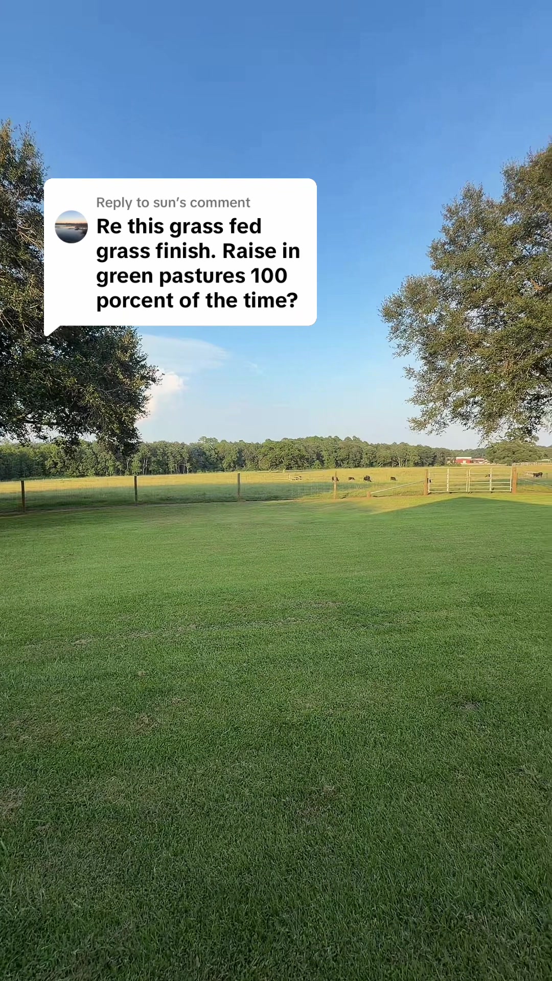 @Mason Hills Farm
