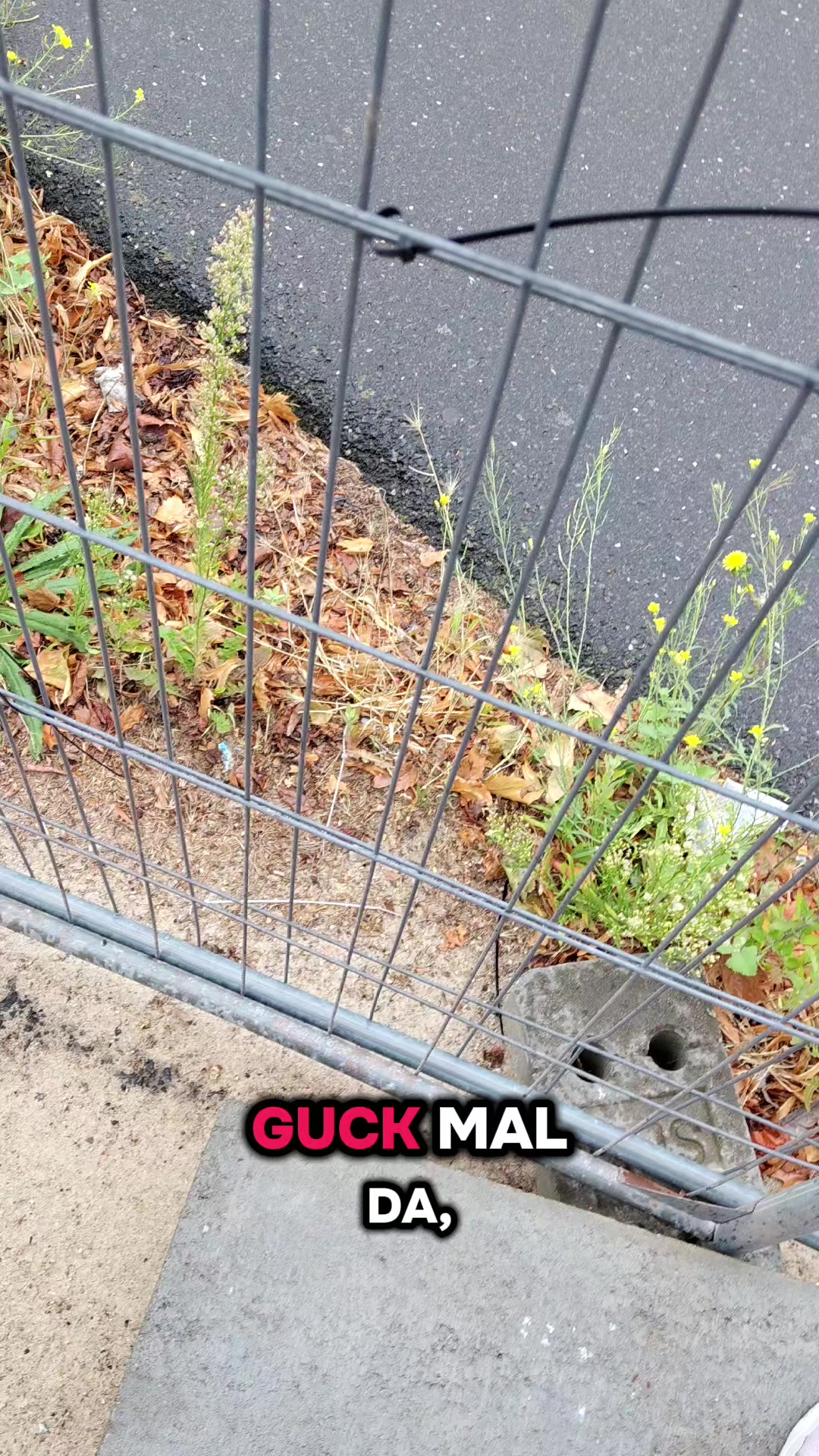 @Neu aufm Markt