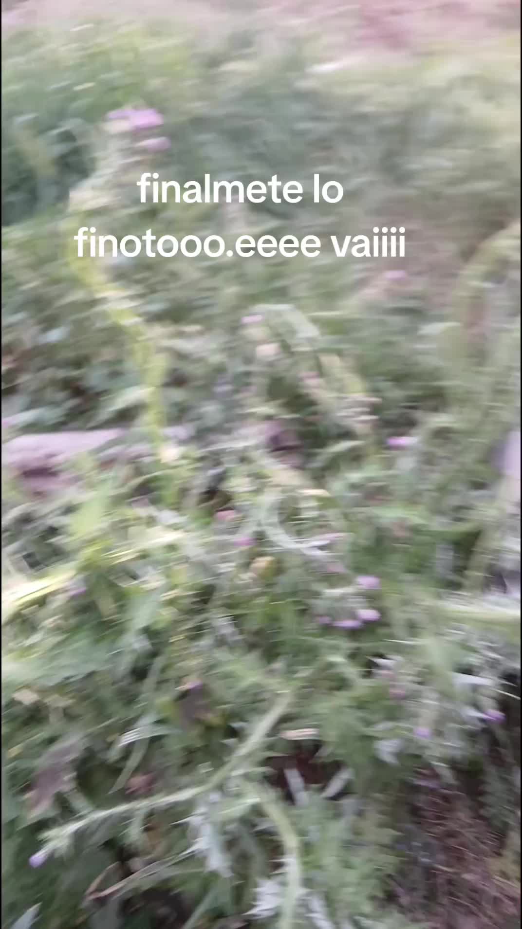 @Bartolo Sacco
