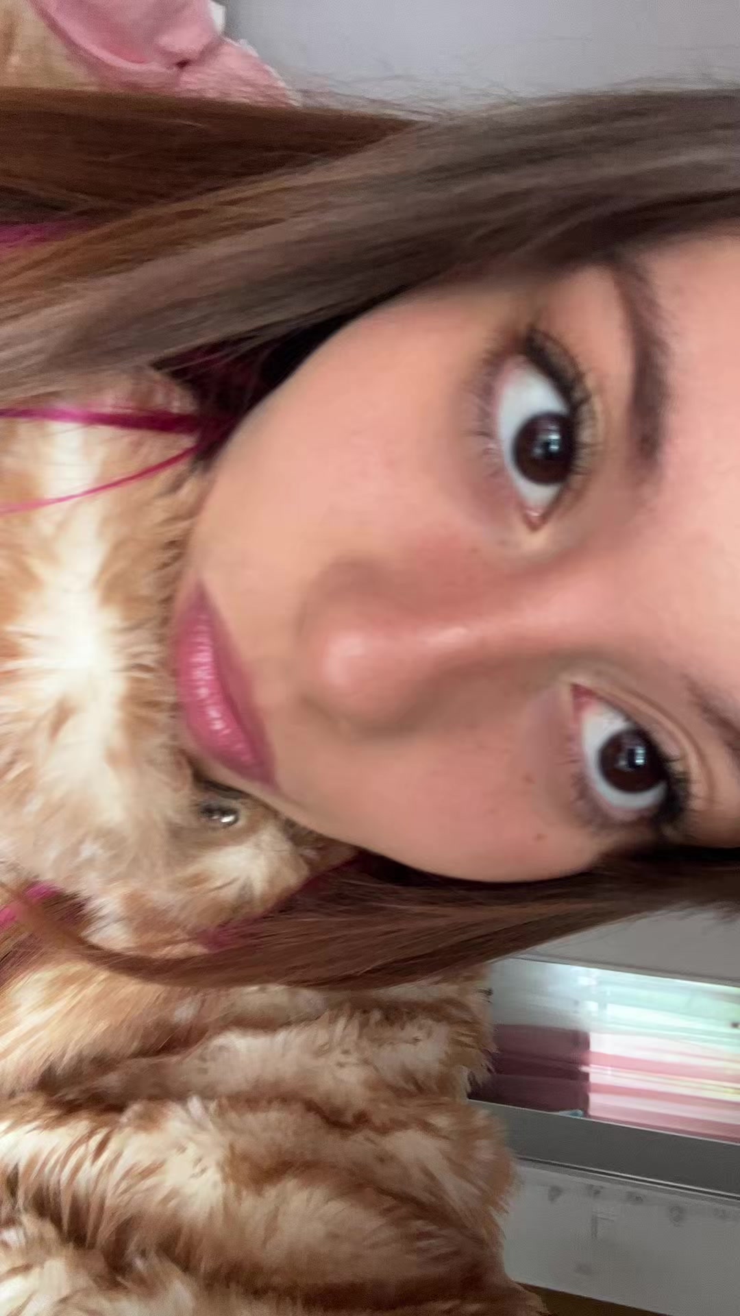 @bambileta 🦌🤍