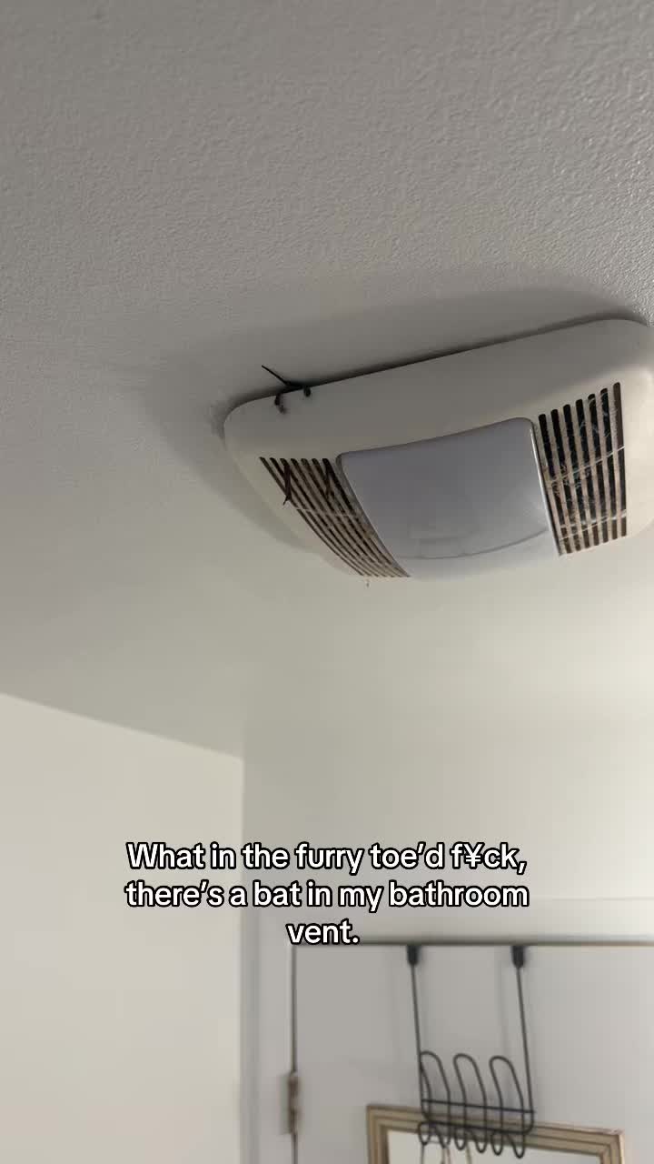@R A V E N