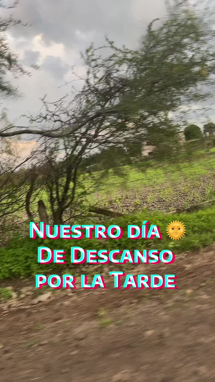 @heidycruz915