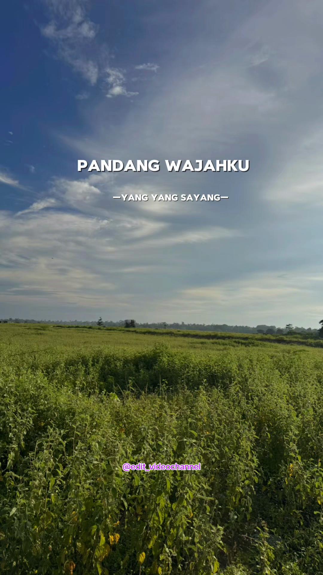 @edit_videochannel
