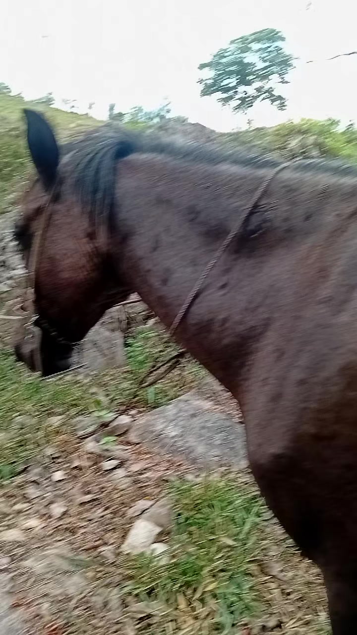 @vaquero 🤠 Lopez