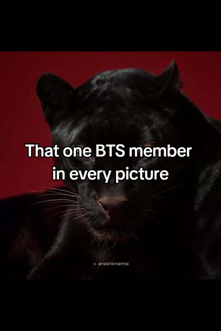 @Bangtanholic⟭⟬⁷