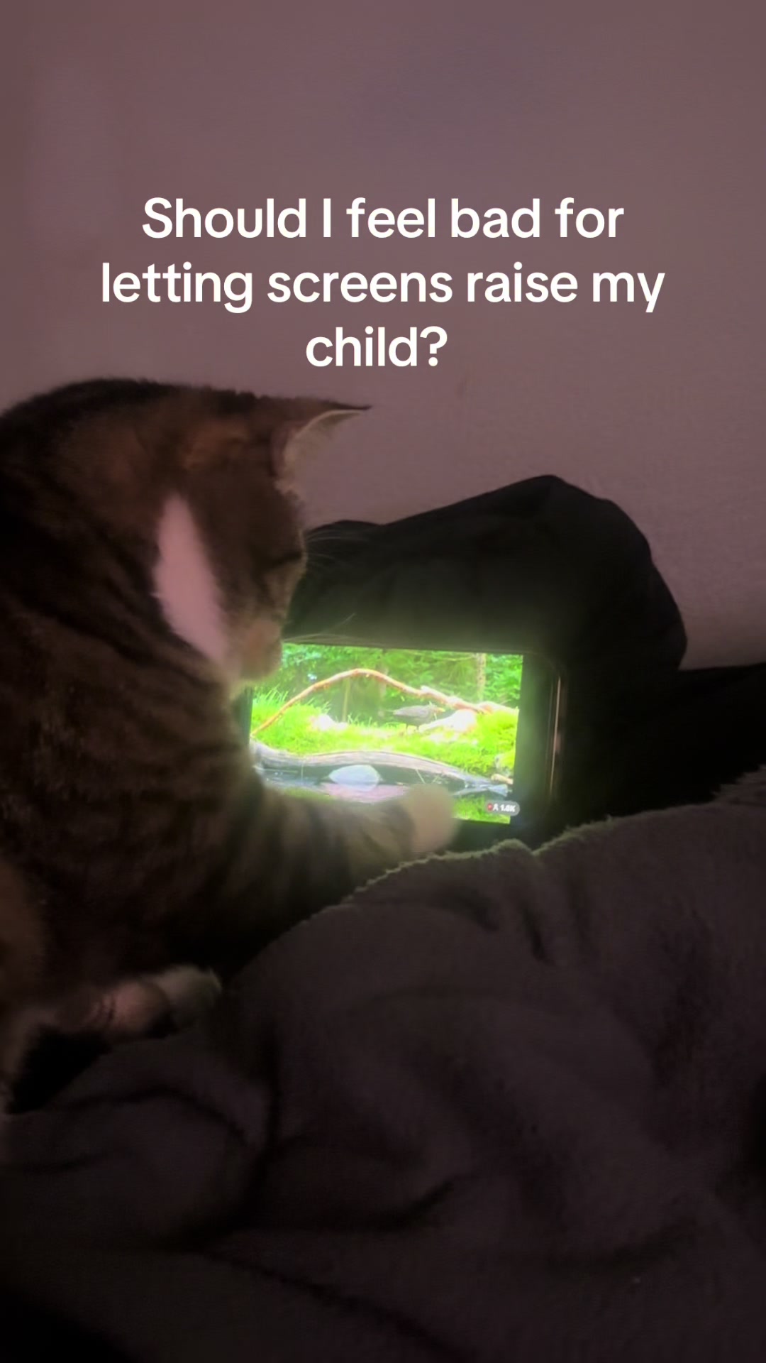 @4pawzzz
