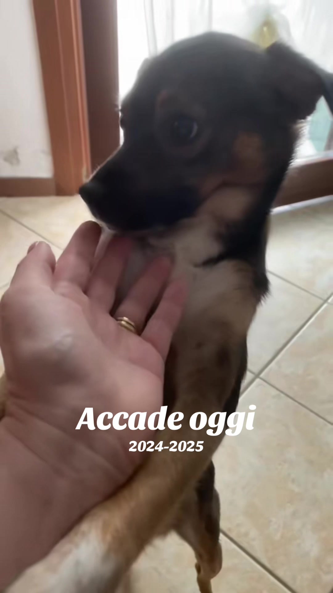 @il mondo_di_Roy