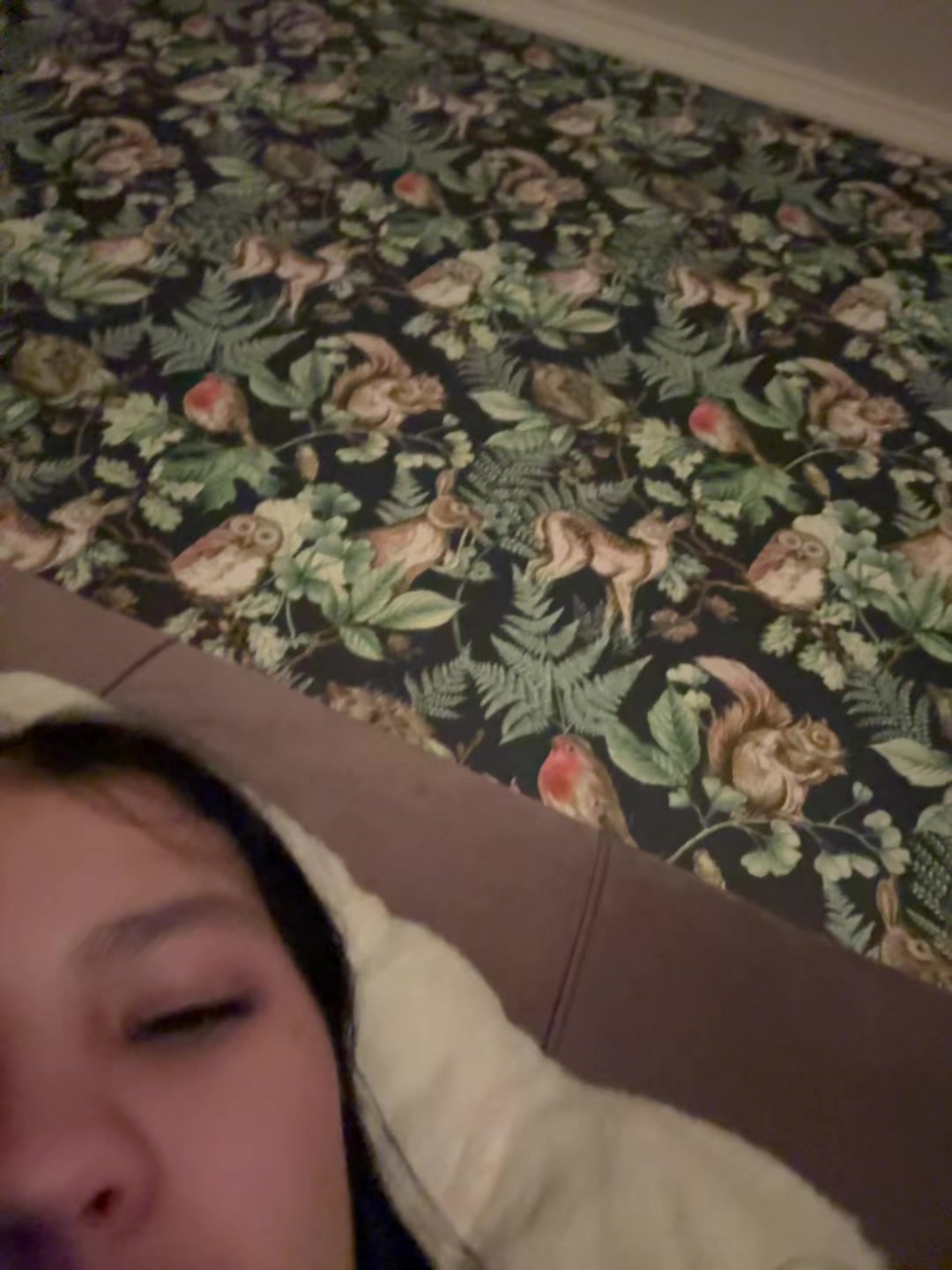 @sofaaaaa