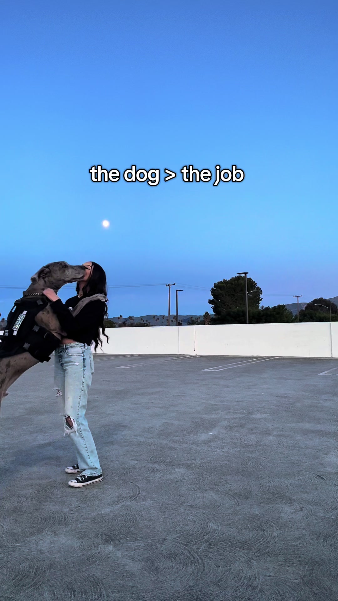 @lex 🐺⛓️