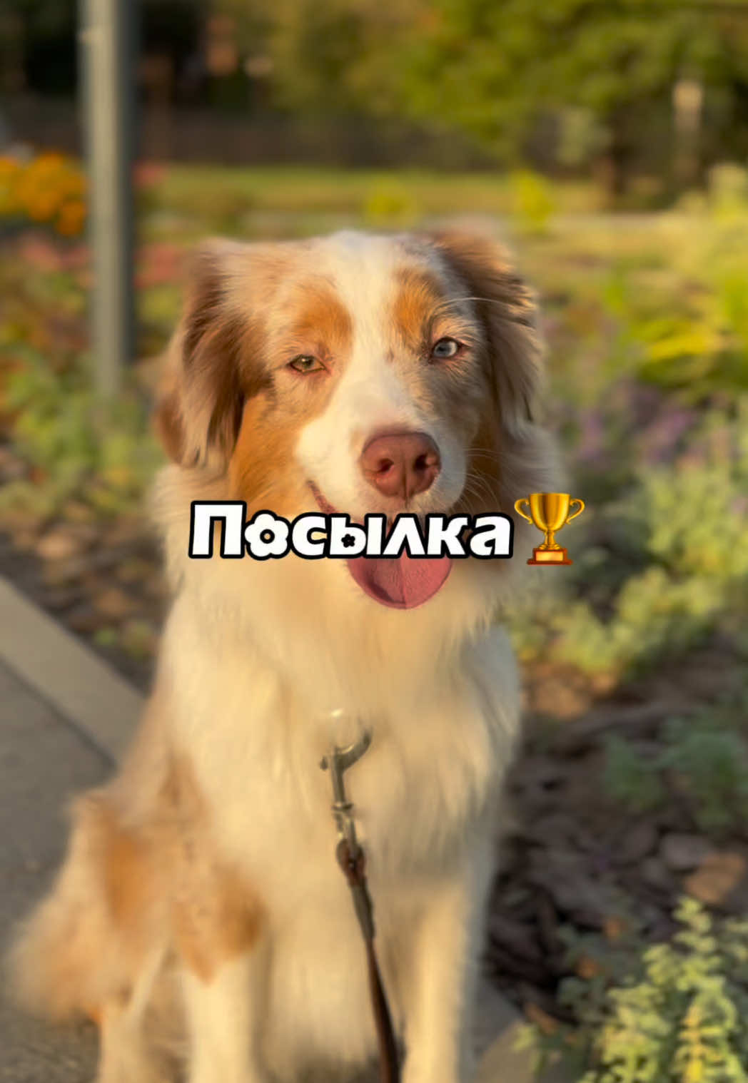@𝚃𝚠𝚒𝚡