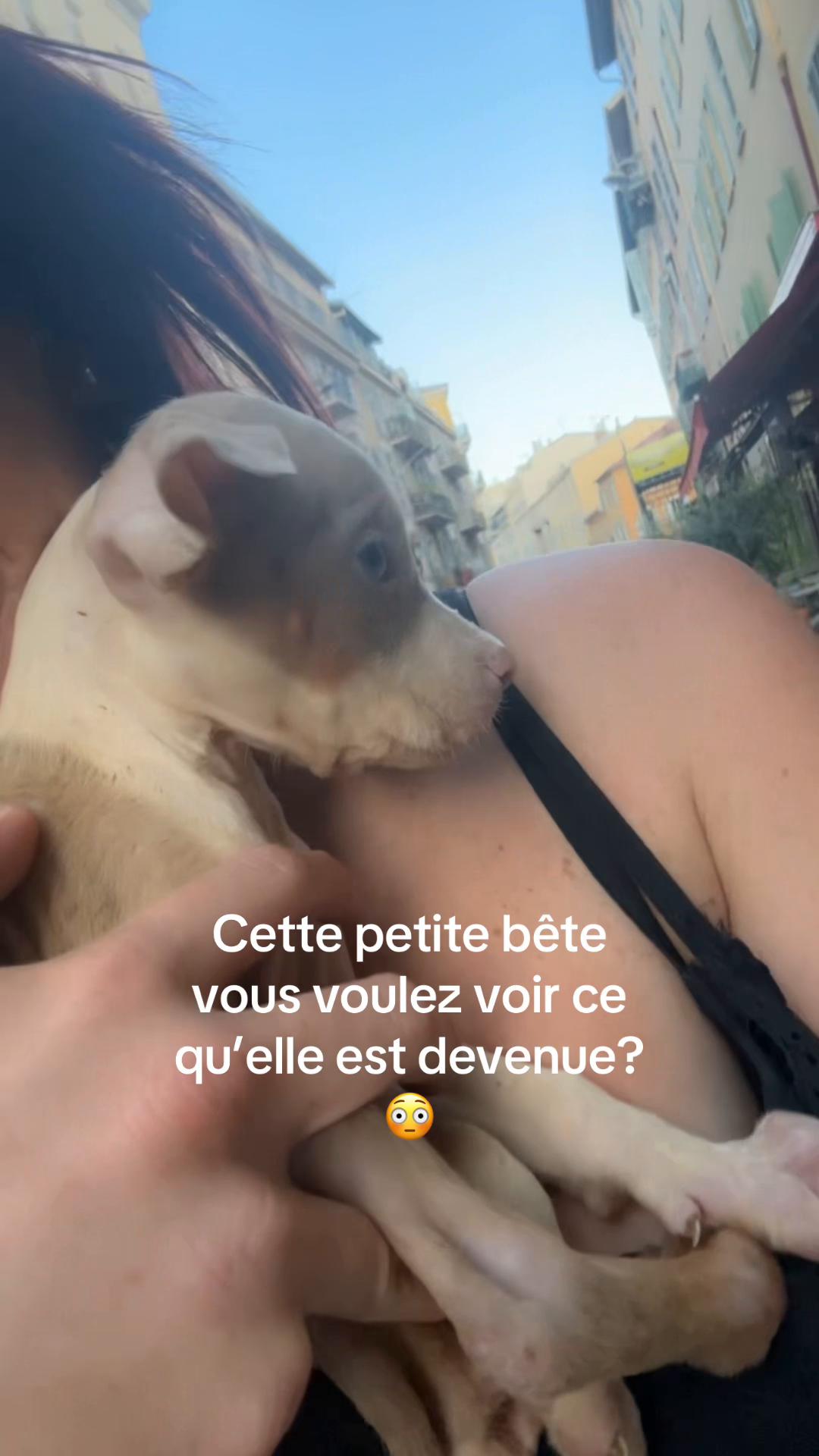 @Femmeunique🇪🇸🇮🇹