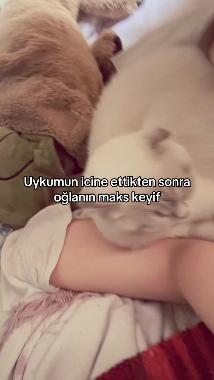 @user