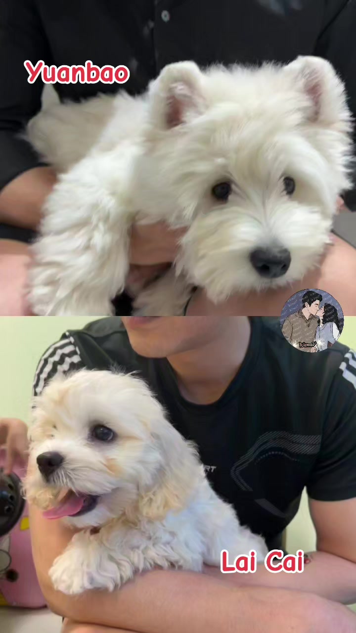 @๐ฎ๐ฆ๐ฎ๐ท๐ช๐ฅ ๐