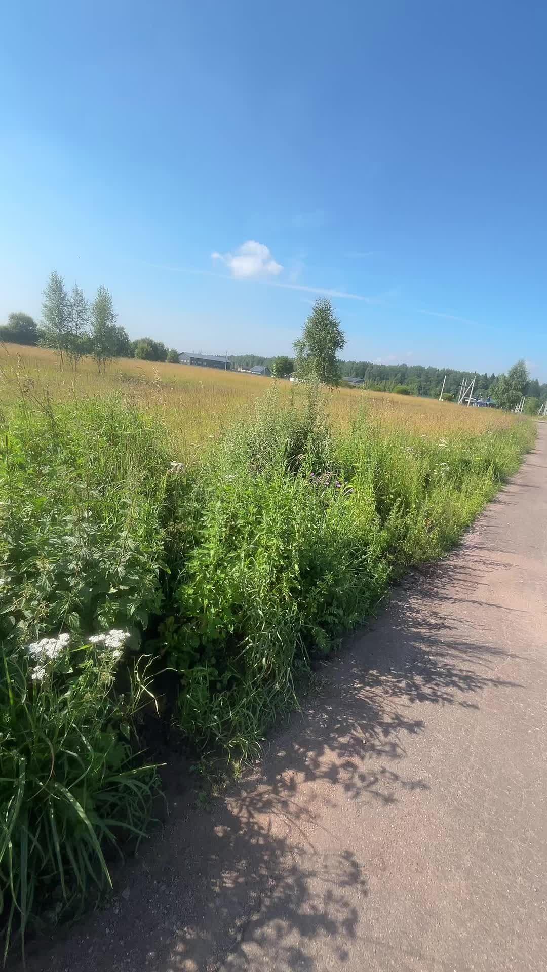 @Оля