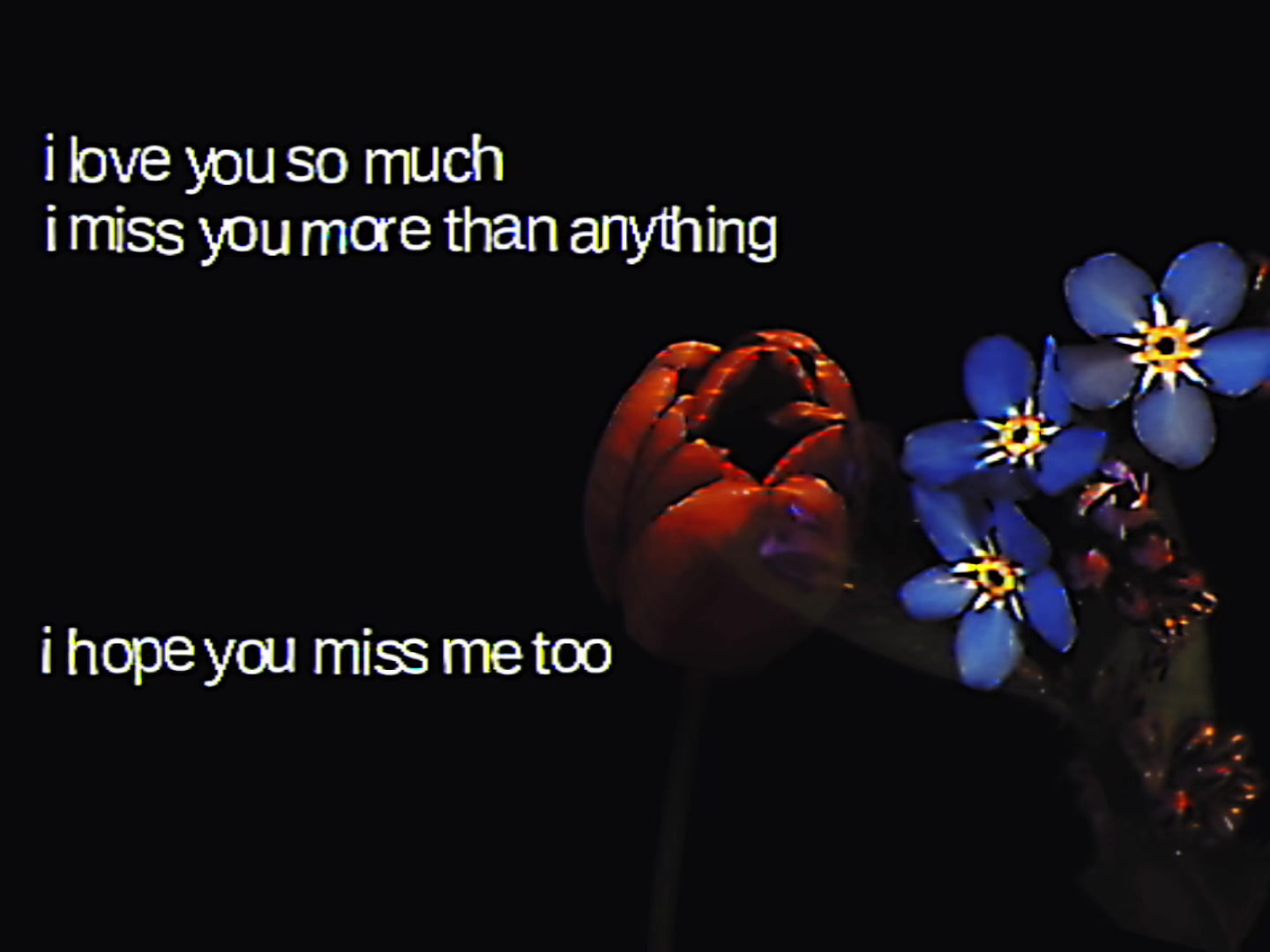 @꩜