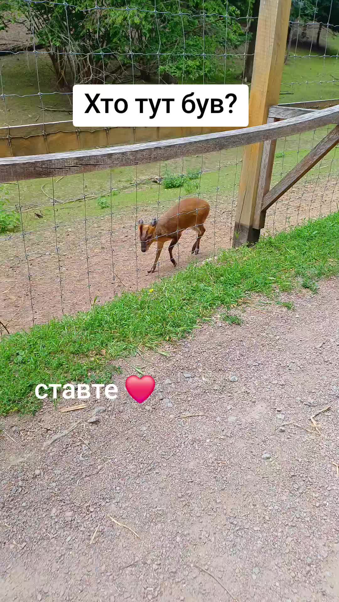 @Анна