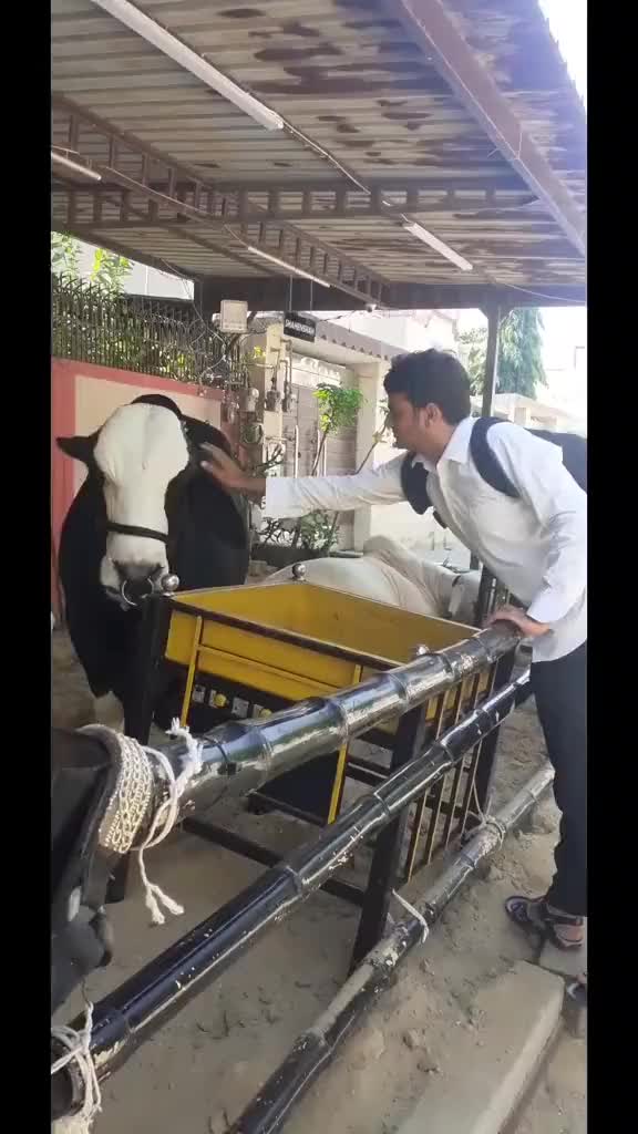 @qararhaider 110