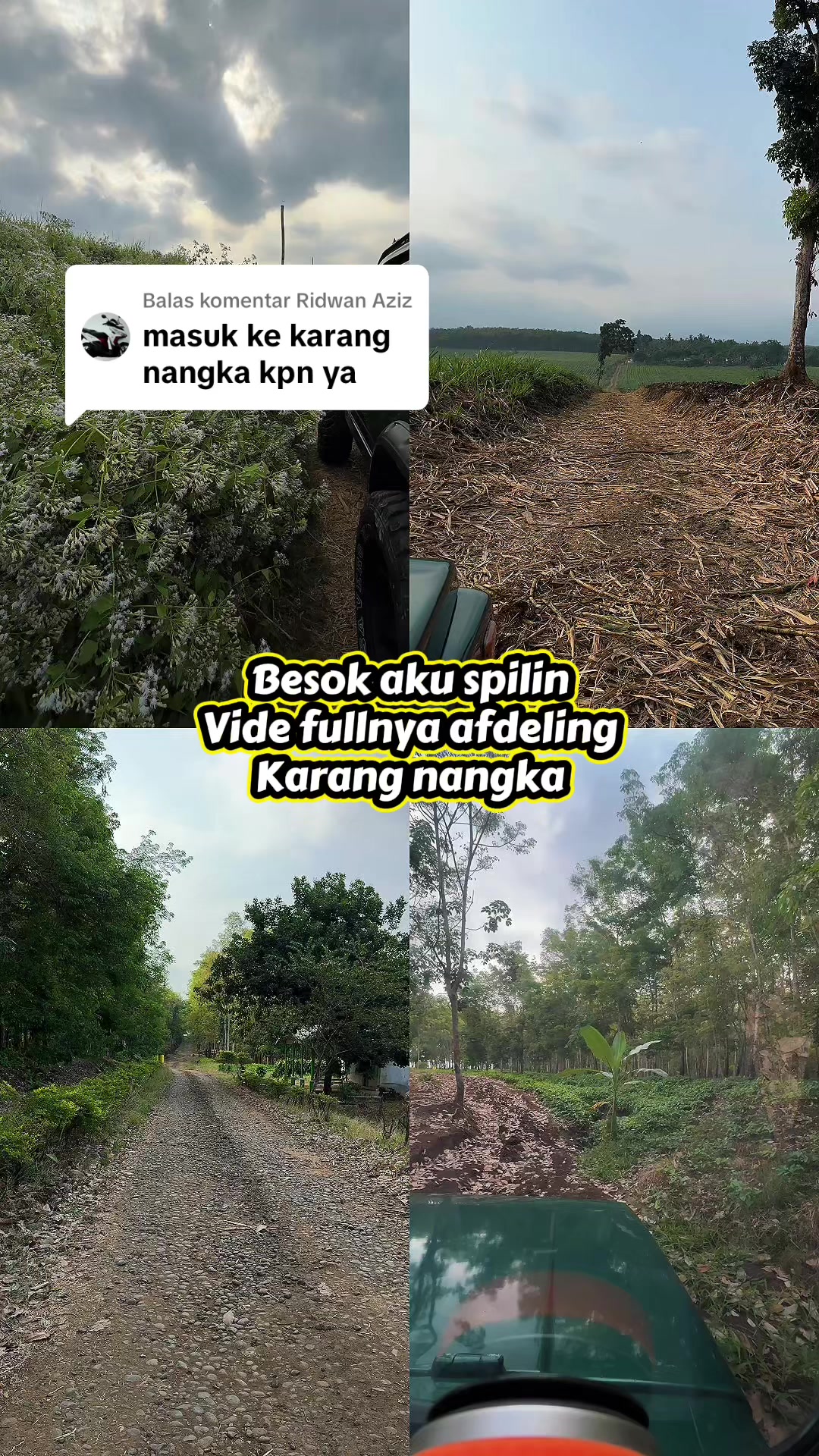 @nabiel aziz, S.H.