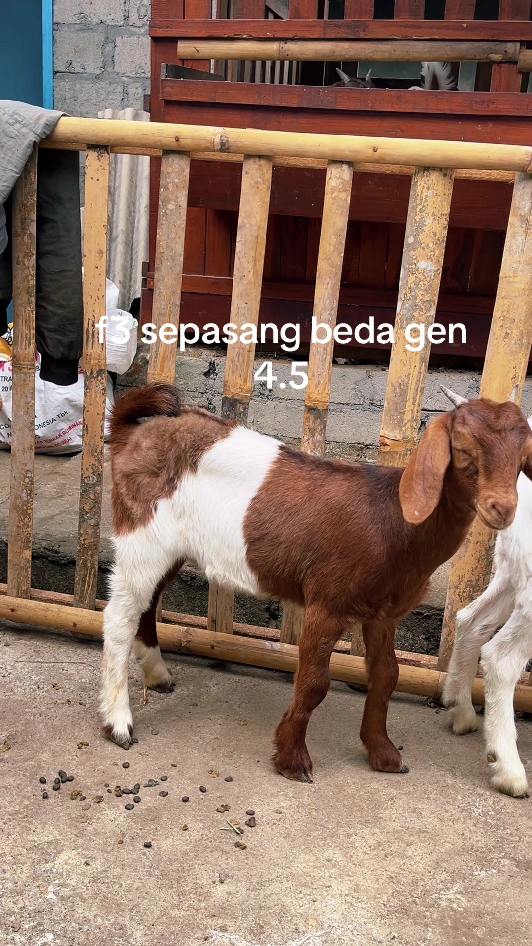 @ALVARIS FARM