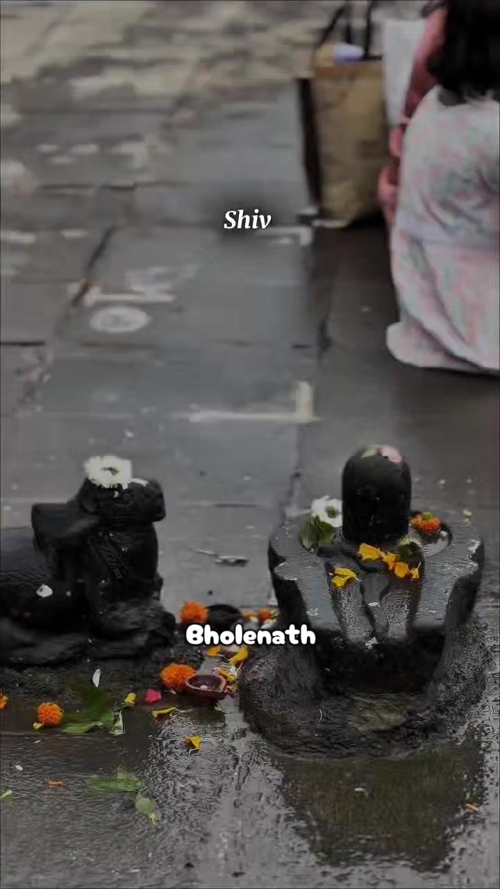 @🕉☘️Sujata❤🌻🦚