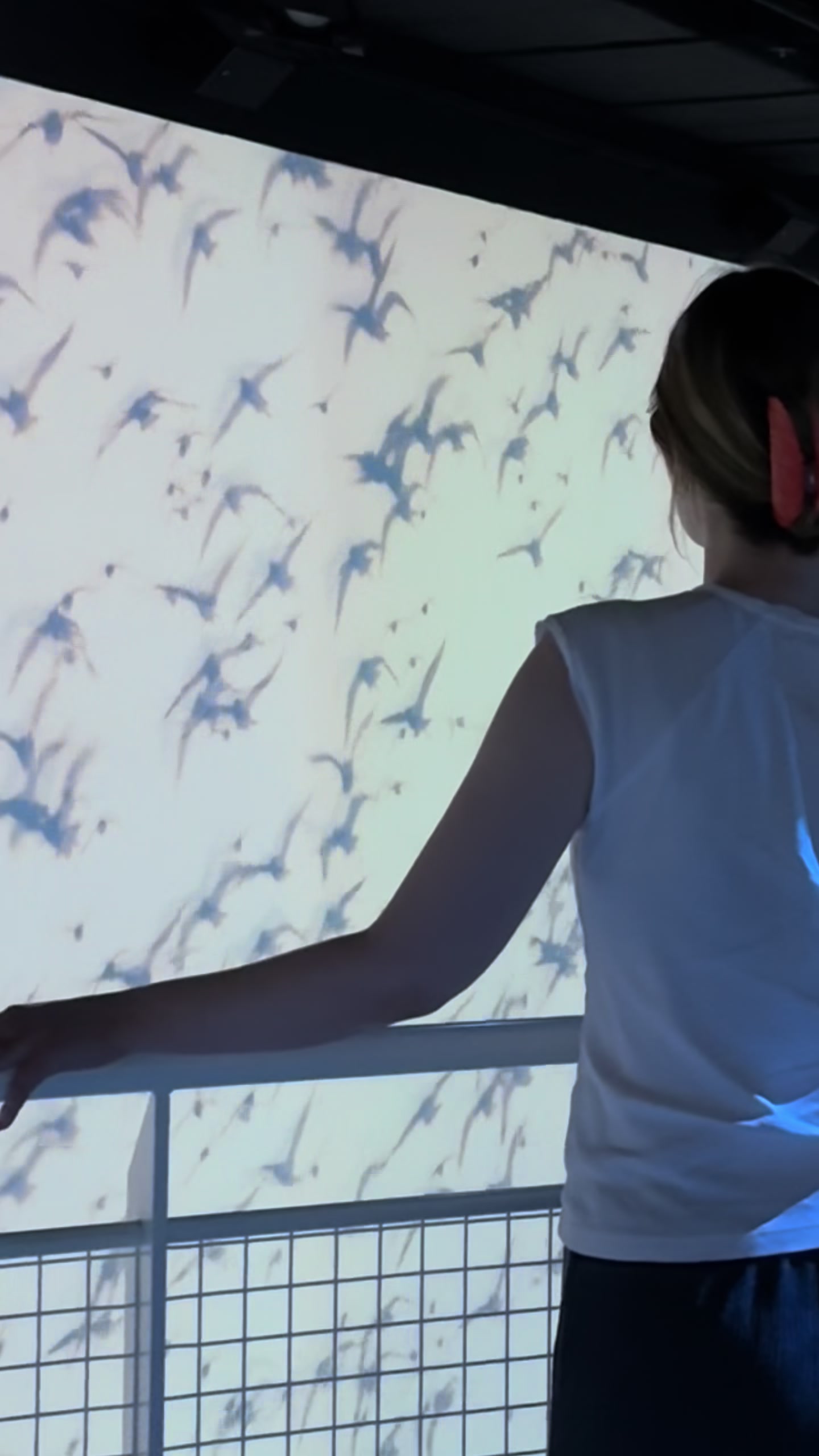 @Port des Lumières