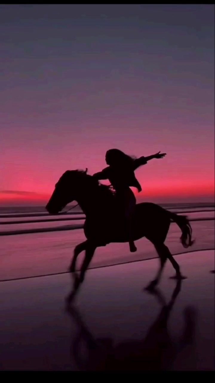 @🕊️꧁༺ MELİSA ༻꧂🕊️