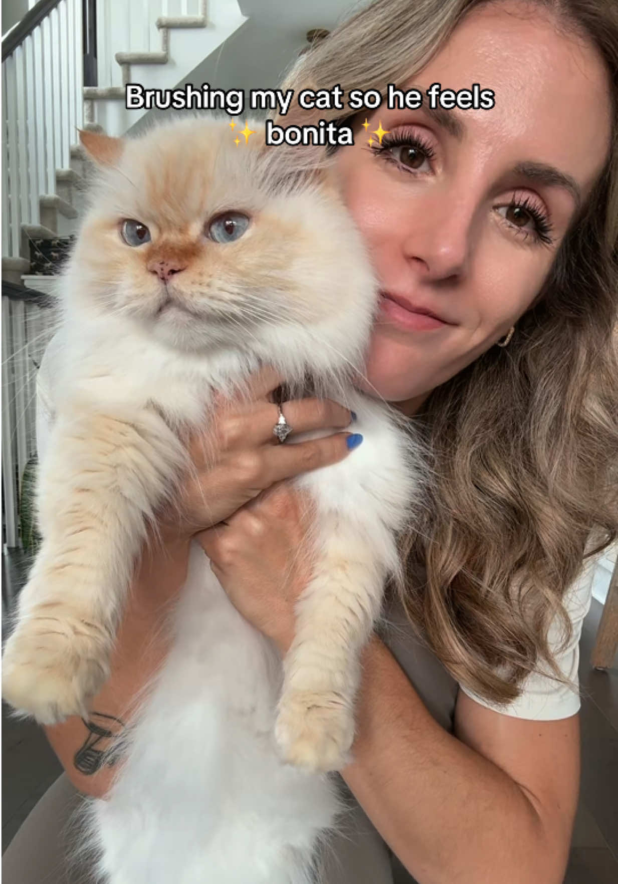 @Krista & Cats: BamBam & Bonnie