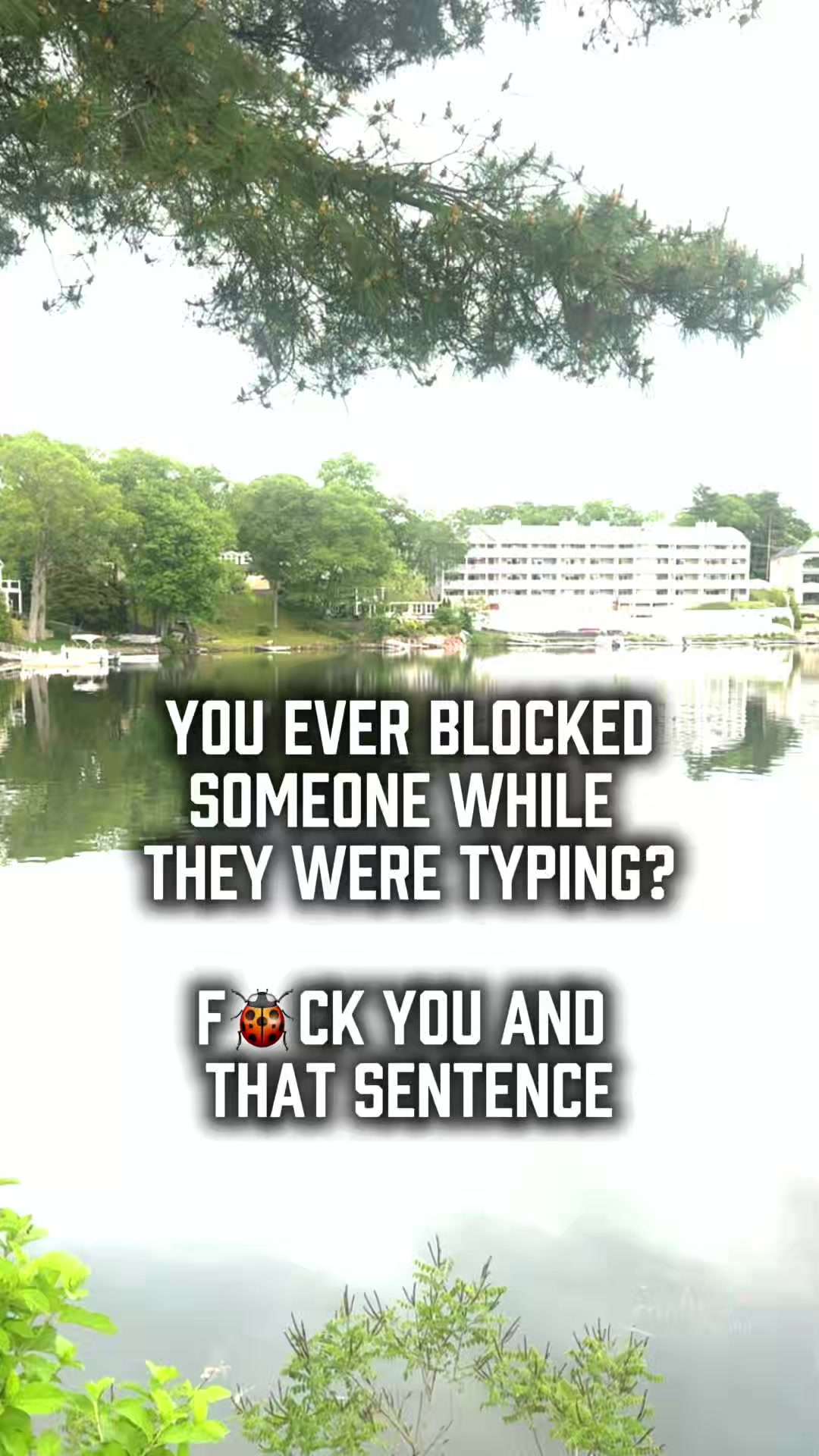 @Quotes.Memes.Queen
