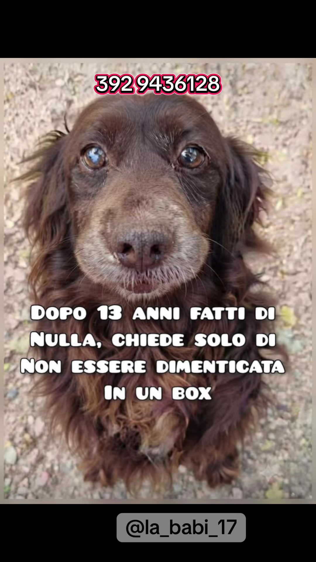 @la_babi_17